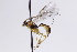  ( - CollHH3063)  @11 [ ] Creative Commons  Attribution Non-Commercial Share-Alike (2021) Hakon Haraldseide Unspecified