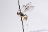  ( - CollHH3067)  @11 [ ] Creative Commons  Attribution Non-Commercial Share-Alike (2021) Hakon Haraldseide Unspecified