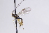  ( - CollHH3068)  @11 [ ] Creative Commons  Attribution Non-Commercial Share-Alike (2021) Hakon Haraldseide Unspecified