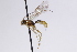  ( - CollHH3072)  @11 [ ] Creative Commons  Attribution Non-Commercial Share-Alike (2021) Hakon Haraldseide Unspecified