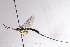  ( - CollHH3113)  @11 [ ] Creative Commons  Attribution Non-Commercial Share-Alike (2021) Hakon Haraldseide Unspecified