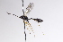  ( - CollHH3121)  @11 [ ] Creative Commons  Attribution Non-Commercial Share-Alike (2021) Hakon Haraldseide Unspecified