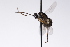  ( - CollHH3163)  @11 [ ] Creative Commons  Attribution Non-Commercial Share-Alike (2021) Hakon Haraldseide Unspecified