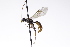  ( - CollHH3166)  @11 [ ] Creative Commons  Attribution Non-Commercial Share-Alike (2021) Hakon Haraldseide Unspecified