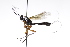  ( - CollHH3186)  @11 [ ] Creative Commons  Attribution Non-Commercial Share-Alike (2021) Hakon Haraldseide Unspecified