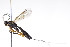  ( - CollHH3187)  @11 [ ] Creative Commons  Attribution Non-Commercial Share-Alike (2021) Hakon Haraldseide Unspecified