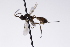  ( - CollHH3199)  @11 [ ] Creative Commons  Attribution Non-Commercial Share-Alike (2021) Hakon Haraldseide Unspecified