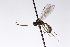  ( - CollHH3216)  @11 [ ] Creative Commons  Attribution Non-Commercial Share-Alike (2021) Hakon Haraldseide Unspecified