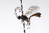  ( - CollHH3224)  @11 [ ] Creative Commons  Attribution Non-Commercial Share-Alike (2021) Hakon Haraldseide Unspecified