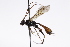  ( - CollHH3240)  @11 [ ] Creative Commons  Attribution Non-Commercial Share-Alike (2022) Hakon Haraldseide Unspecified
