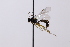  ( - CollHH3255)  @11 [ ] Creative Commons  Attribution Non-Commercial Share-Alike (2022) Hakon Haraldseide Unspecified