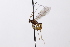  ( - CollHH3261)  @11 [ ] Creative Commons  Attribution Non-Commercial Share-Alike (2022) Hakon Haraldseide Unspecified