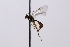  ( - CollHH3272)  @11 [ ] Creative Commons  Attribution Non-Commercial Share-Alike (2022) Hakon Haraldseide Unspecified