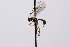  ( - CollHH3279)  @11 [ ] Creative Commons  Attribution Non-Commercial Share-Alike (2022) Hakon Haraldseide Unspecified