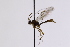  ( - CollHH3285)  @11 [ ] Creative Commons  Attribution Non-Commercial Share-Alike (2022) Hakon Haraldseide Unspecified
