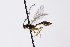  ( - CollHH3301)  @11 [ ] Creative Commons  Attribution Non-Commercial Share-Alike (2022) Hakon Haraldseide Unspecified