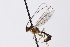 ( - CollHH3302)  @11 [ ] Creative Commons  Attribution Non-Commercial Share-Alike (2022) Hakon Haraldseide Unspecified