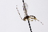  ( - CollHH3306)  @11 [ ] Creative Commons  Attribution Non-Commercial Share-Alike (2022) Hakon Haraldseide Unspecified