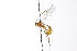  ( - CollHH3312)  @11 [ ] Creative Commons  Attribution Non-Commercial Share-Alike (2022) Hakon Haraldseide Unspecified