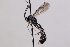  ( - CollHH3318)  @11 [ ] Creative Commons  Attribution Non-Commercial Share-Alike (2022) Hakon Haraldseide Unspecified