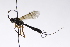  ( - CollHH3328)  @11 [ ] Creative Commons  Attribution Non-Commercial Share-Alike (2022) Hakon Haraldseide Unspecified