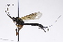  ( - CollHH3329)  @11 [ ] Creative Commons  Attribution Non-Commercial Share-Alike (2022) Hakon Haraldseide Unspecified
