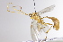  ( - CollHH3341)  @11 [ ] Creative Commons  Attribution Non-Commercial Share-Alike (2022) Hakon Haraldseide Unspecified