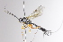  ( - CollHH3349)  @11 [ ] Creative Commons  Attribution Non-Commercial Share-Alike (2022) Hakon Haraldseide Unspecified