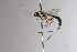  ( - CollHH3393)  @11 [ ] Creative Commons  Attribution Non-Commercial Share-Alike (2022) Hakon Haraldseide Unspecified