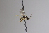  ( - CollHH3407)  @11 [ ] Creative Commons  Attribution Non-Commercial Share-Alike (2022) Hakon Haraldseide Unspecified