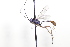  ( - CollHH3439)  @11 [ ] Creative Commons  Attribution Non-Commercial Share-Alike (2022) Hakon Haraldseide Unspecified