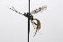  ( - CollHH3462)  @11 [ ] Creative Commons  Attribution Non-Commercial Share-Alike (2022) Hakon Haraldseide Unspecified