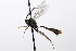  ( - CollHH3468)  @11 [ ] Creative Commons  Attribution Non-Commercial Share-Alike (2022) Hakon Haraldseide Unspecified