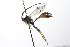  ( - CollHH3503)  @11 [ ] Creative Commons  Attribution Non-Commercial Share-Alike (2022) Hakon Haraldseide Unspecified