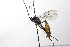  ( - CollHH3504)  @11 [ ] Creative Commons  Attribution Non-Commercial Share-Alike (2022) Hakon Haraldseide Unspecified
