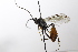  ( - CollHH3505)  @11 [ ] Creative Commons  Attribution Non-Commercial Share-Alike (2022) Hakon Haraldseide Unspecified