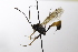  ( - CollHH3515)  @11 [ ] Creative Commons  Attribution Non-Commercial Share-Alike (2022) Hakon Haraldseide Unspecified