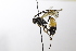  ( - CollHH3516)  @11 [ ] Creative Commons  Attribution Non-Commercial Share-Alike (2022) Hakon Haraldseide Unspecified