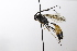  ( - CollHH3517)  @11 [ ] Creative Commons  Attribution Non-Commercial Share-Alike (2022) Hakon Haraldseide Unspecified