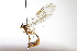  ( - CollHH3898)  @11 [ ] Creative Commons  Attribution Non-Commercial Share-Alike (2023) Hakon Haraldseide Unspecified