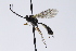  ( - CollHH3909)  @11 [ ] Creative Commons  Attribution Non-Commercial Share-Alike (2023) Hakon Haraldseide Unspecified
