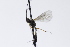  ( - CollHH3912)  @11 [ ] Creative Commons  Attribution Non-Commercial Share-Alike (2023) Hakon Haraldseide Unspecified