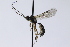  ( - CollHH3922)  @11 [ ] Creative Commons  Attribution Non-Commercial Share-Alike (2023) Hakon Haraldseide Unspecified