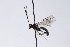  ( - CollHH3967)  @11 [ ] Creative Commons  Attribution Non-Commercial Share-Alike (2023) Hakon Haraldseide Unspecified