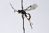  ( - CollHH3969)  @11 [ ] Creative Commons  Attribution Non-Commercial Share-Alike (2023) Hakon Haraldseide Unspecified