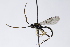  ( - CollHH3971)  @11 [ ] Creative Commons  Attribution Non-Commercial Share-Alike (2023) Hakon Haraldseide Unspecified