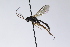  ( - CollHH3989)  @11 [ ] Creative Commons  Attribution Non-Commercial Share-Alike (2023) Hakon Haraldseide Unspecified