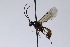  ( - CollHH3990)  @11 [ ] Creative Commons  Attribution Non-Commercial Share-Alike (2023) Hakon Haraldseide Unspecified
