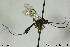  ( - CollHH400)  @12 [ ] Creative Commons  Attribution Non-Commercial Share-Alike (2018) Hakon Haraldseide Unspecified