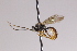  ( - CollHH4007)  @11 [ ] Creative Commons  Attribution Non-Commercial Share-Alike (2025) Hakon Haraldseide Unspecified